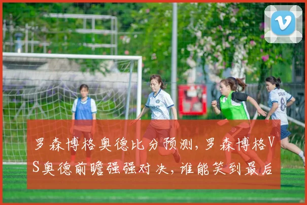 罗森博格奥德比分预测,罗森博格VS奥德前瞻强强对决,谁能笑到最后